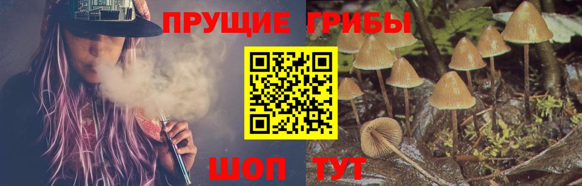 Псилоцибиновые грибы прущие грибы  Галлюциногенные грибы Cubensis  даркнет сайт  Вход с VPN  Приморско-Ахтарск 